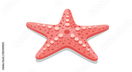Colorful starfish on white background: detailed marine life art for ocean enthusiasts