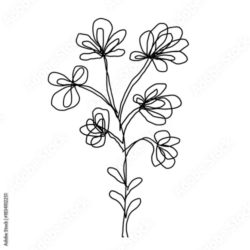Elegant One-Line Botanical Floral Illustration with Minimalist Bloom Design