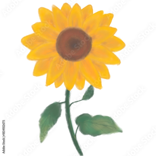 Minimal sunflower illustration with clean line style, symbol of positivity, energy, and happiness.