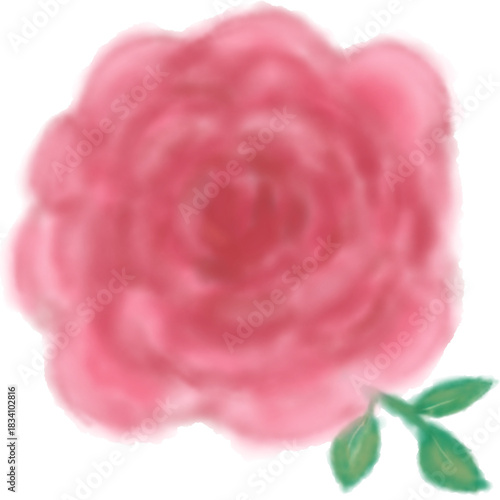 A delicate rose illustration symbolizing love, elegance, and natural beauty, perfect for romantic, floral, and decorative design projects.