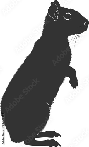 Black silhouette of a small rodent standing on hind legs