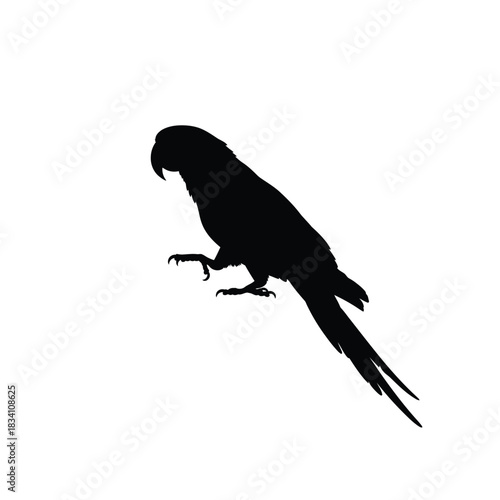A detailed black silhouette of a parrot standing on a perch silhouette