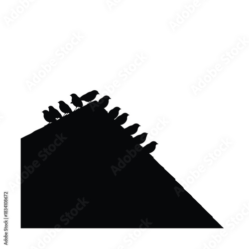 A flock of birds perched on a rooftop silhouette