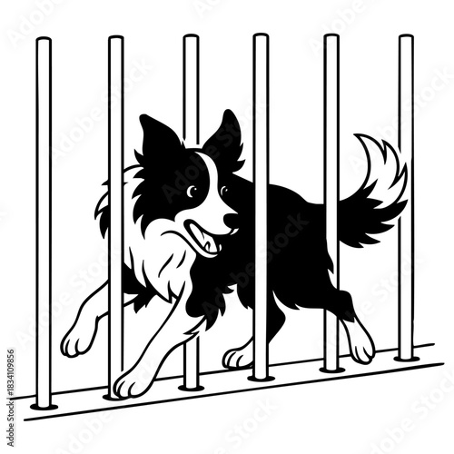 Border collie in weave poles in agility competition. Vector line art illustration