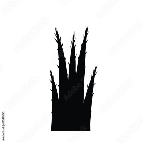 Black silhouette of a spiky plant against a white background silhouette