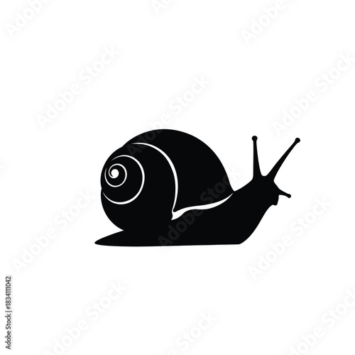 Black silhouette of a snail moving slowly on a white background silhouette