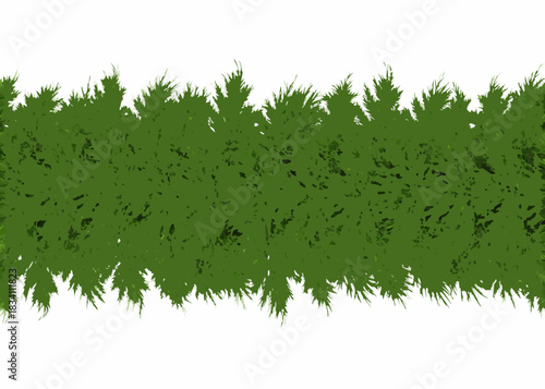 Green pine tree branches border against white background