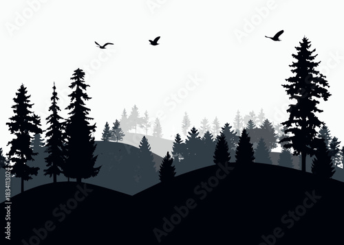Silhouette of a misty forest with birds flying in the sky