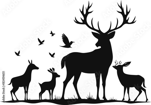 silhouette of deer