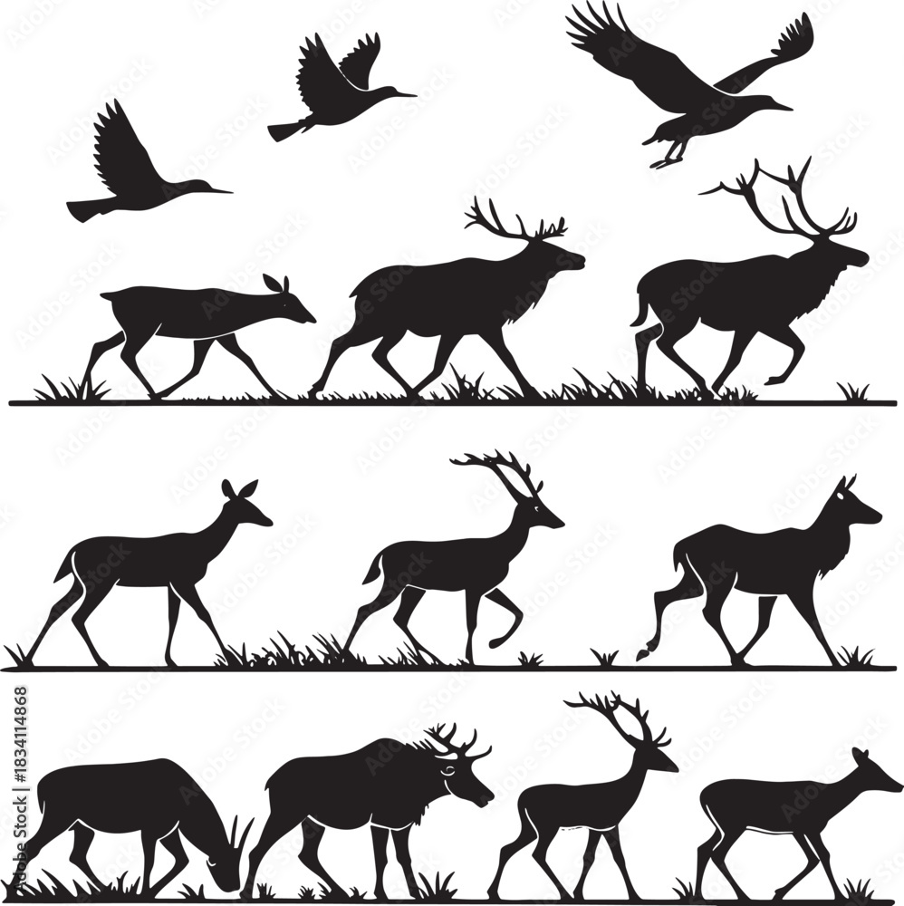 Fototapeta premium silhouette of deer
