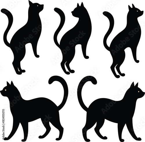 Photography set of cats silhouettes