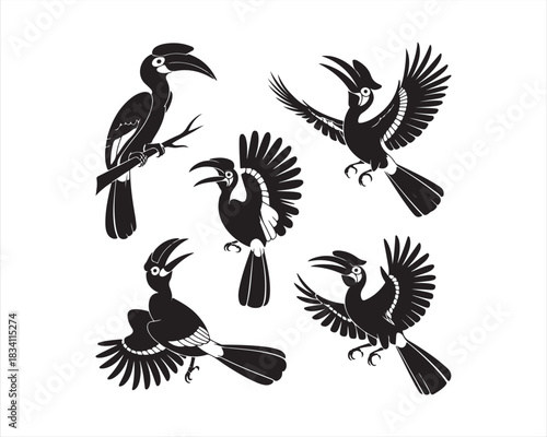 Hornbill flying with wings, soaring with wings, preening feathers, vector silhouette illustration design pack collection set, tropical bird illustration, wildlife vector art, exotic bird silhouette, 