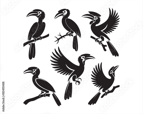 Hornbill flying with wings, soaring with wings, preening feathers, vector silhouette illustration design pack collection set, tropical bird illustration, wildlife vector art, exotic bird silhouette, 