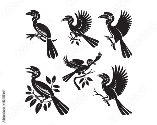 Hornbill flying with wings, soaring with wings, preening feathers, vector silhouette illustration design pack collection set, tropical bird illustration, wildlife vector art, exotic bird silhouette, 