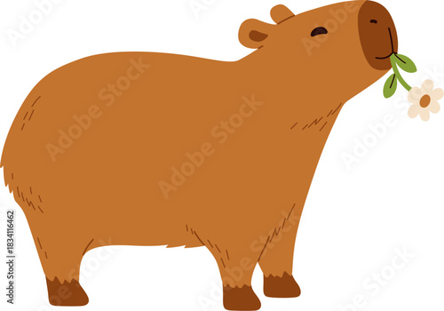 A Cute Capybara Nibbling a Flower Illustration