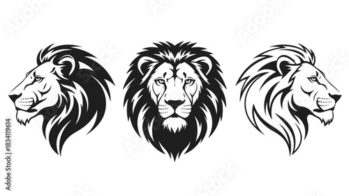 A powerful collection of three majestic lion head illustrations, featuring front and side profile views for logos or mascots