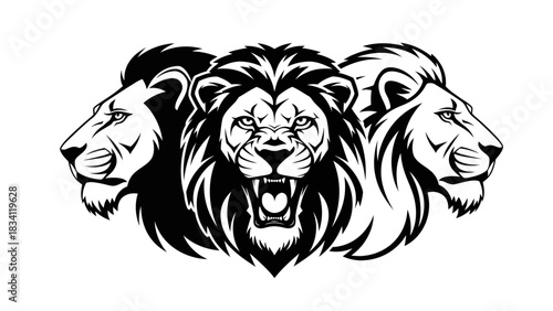 Powerful black and white illustration of three majestic lion heads, with the central leader roaring fiercely, symbolizing strength and pride