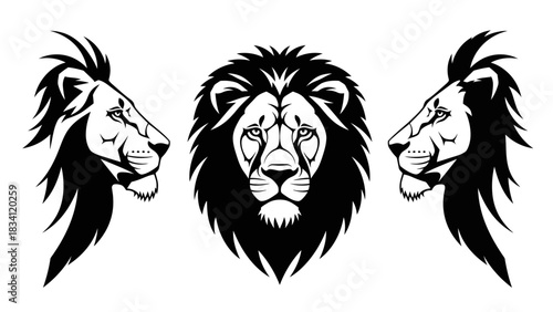 A powerful set of three vector lion head illustrations, featuring front and side profile views perfect for a mascot or emblem