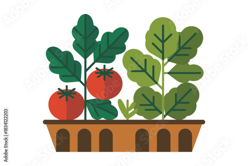 Vibrant tomato plants and leafy greens growing in a planter box