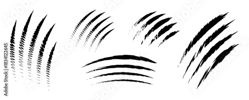 Collection of Black Claw Marks and Scratches on White Background