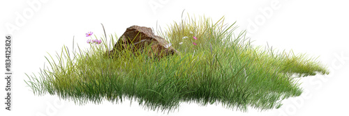 Photography patch of natural grass with a small rock and delicate wildflowers, showcasing fresh greenery and a peaceful outdoor atmosphere
