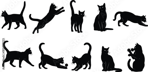 Black cat silhouette set, feline poses, walking, jumping, sitting, stretching, playing, vector illustration, animal motion, pet design