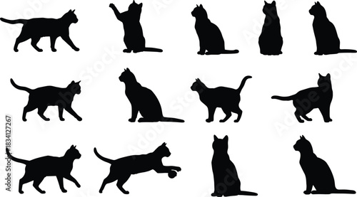 Black cat silhouettes, feline poses, walking, sitting, playing, standing, vector illustration, animal shapes, pet design, isolated graphic