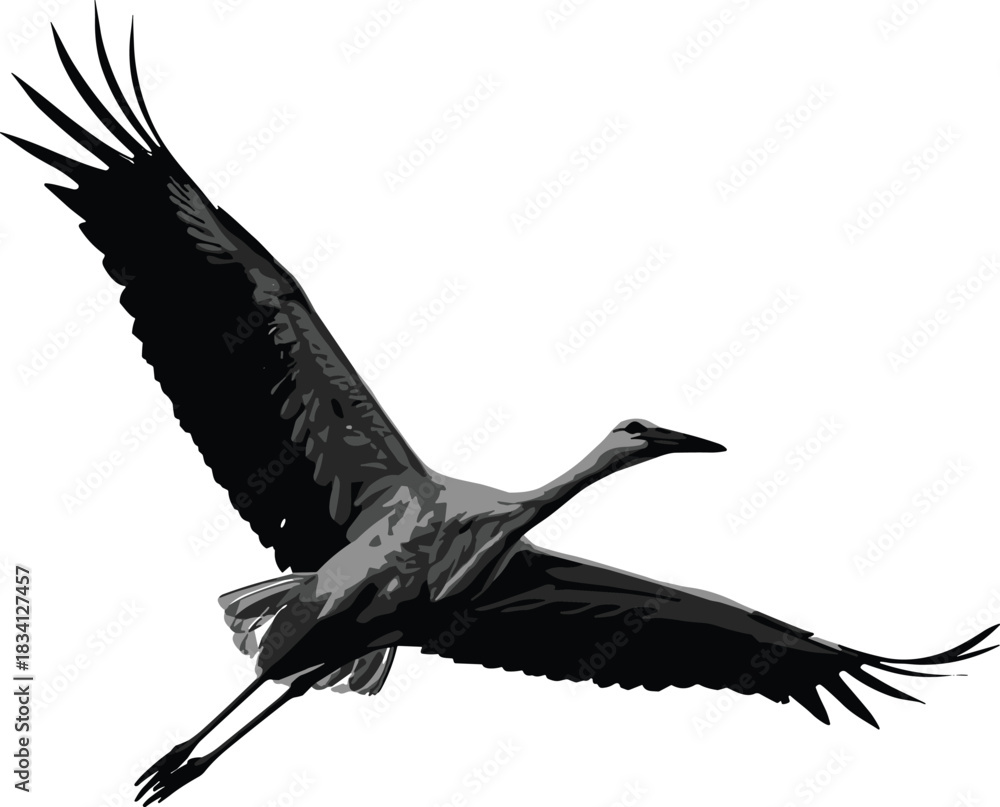 Naklejka premium Flying bird silhouette, crane in motion, black and gray vector, graceful wings, nature illustration, dynamic pose, wildlife art
