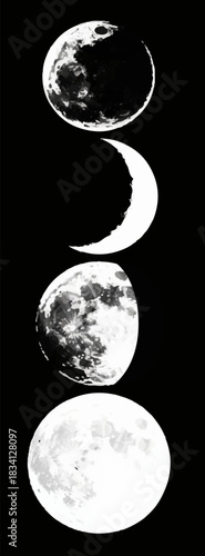 Black and white illustration of the four phases of the moon on a black background. Vector graphics. EPS.