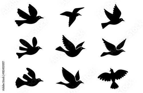 Set of black flying bird silhouettes, a collection of dove and pigeon icons in various flight positions, vector illustration