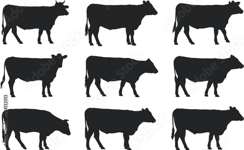 Set of black cow silhouettes in different standing poses vector