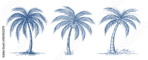 Set of hand-drawn blue line art palm trees for tropical designs