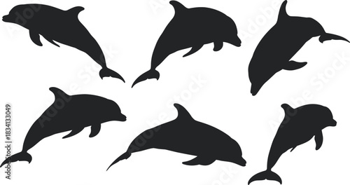 Dolphin Silhouettes in Various Poses for Aquatic and Marine Designs