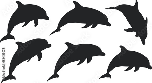 Silhouette Set Sleek Dolphin Shapes Swimming Together in Vector Art
