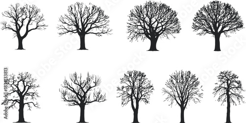 Silhouette Illustrations of Bare Trees Set of Ten Black Images