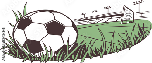 soccer ball in grass