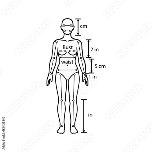 Stylized Human Body Measurement Diagram: Bust, Waist, Articulated Joints, Metric & Imperial Units for Sizing