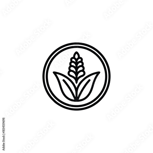 Minimalist Grain Stalk Icon in Circle, Line Art Logo for Agriculture, Bakery, Farm, Food, and Natural Product Branding