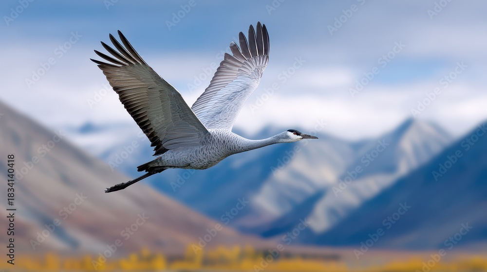 Fototapeta premium A majestic crane soars gracefully over a mountainous landscape, showcasing its wingspan against a backdrop of soft clouds and serene colors.