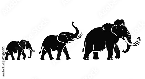 Elephant mammoth evolution stages vector illustration isolated art