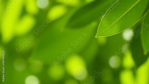 trait. Abstract green leaf pattern with soft focus effect representing environmental sustainability, ESG reports.