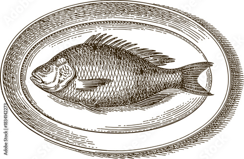 Vintage engraving woodcut seafood vector illustration art design