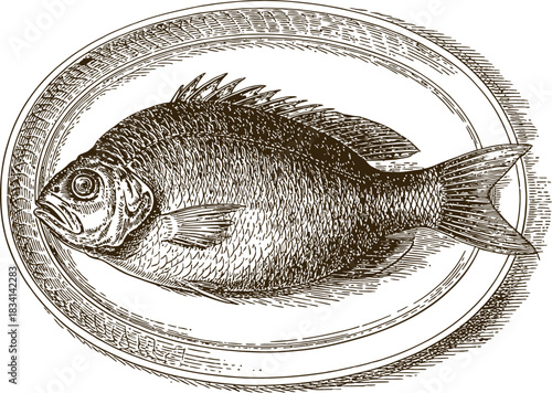 Vintage engraving woodcut seafood vector illustration art design