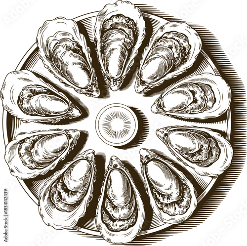 Vintage engraving woodcut seafood vector illustration art design