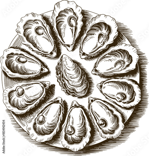 Vintage engraving woodcut seafood vector illustration art design