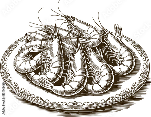 Vintage engraving woodcut seafood vector illustration art design