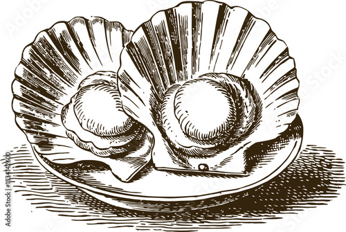 Vintage engraving woodcut seafood vector illustration art design