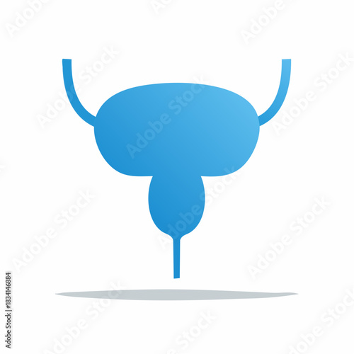 Simplified blue icon representing the human bladder and urinary tract