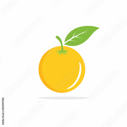 Vibrant orange citrus fruit illustration with fresh green leaf on a white background