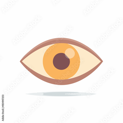 Stylized Human Eye with Brown Iris and Pupil, Flat Design Illustration